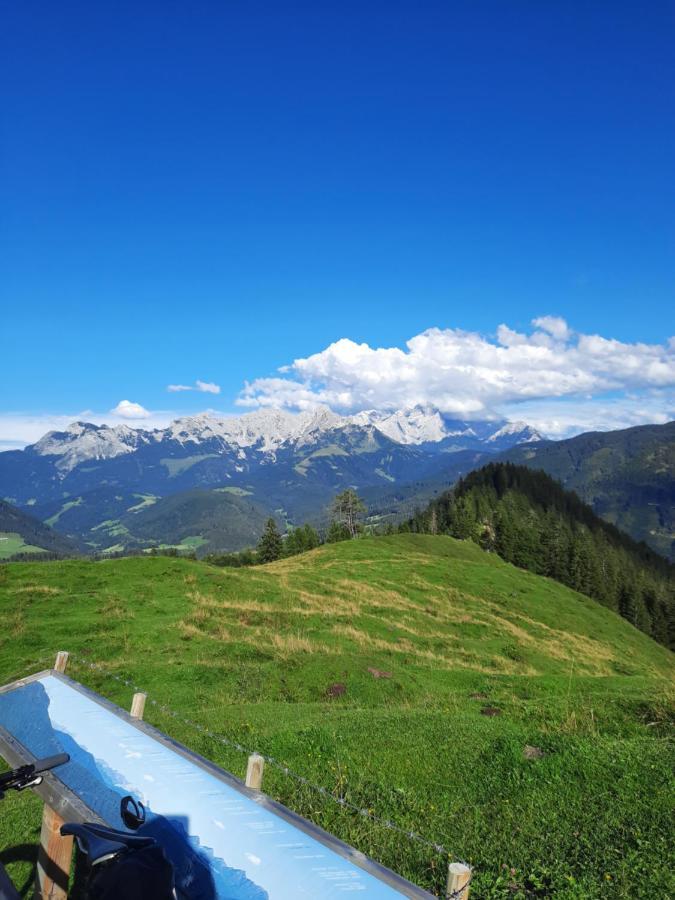 Landhaus Theresia Sankt Martin am Tennengebirge Buitenkant foto