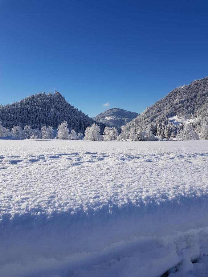 Landhaus Theresia Sankt Martin am Tennengebirge Buitenkant foto