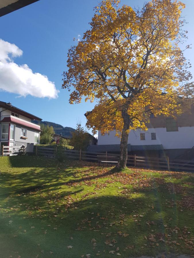 Landhaus Theresia Sankt Martin am Tennengebirge Buitenkant foto